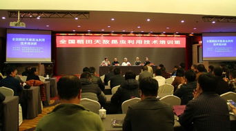 技術推廣服務中心 連接創(chuàng)新與應用的橋梁