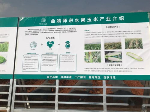 推廣有機肥改良土壤結構，云南國發助力師宗煙草綠色高質量發展