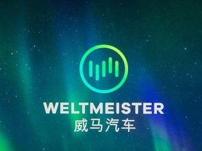 從被冷落到全網(wǎng)刷屏 一則廣告如何讓國(guó)產(chǎn)新能源車(chē)引爆美國(guó)市場(chǎng)